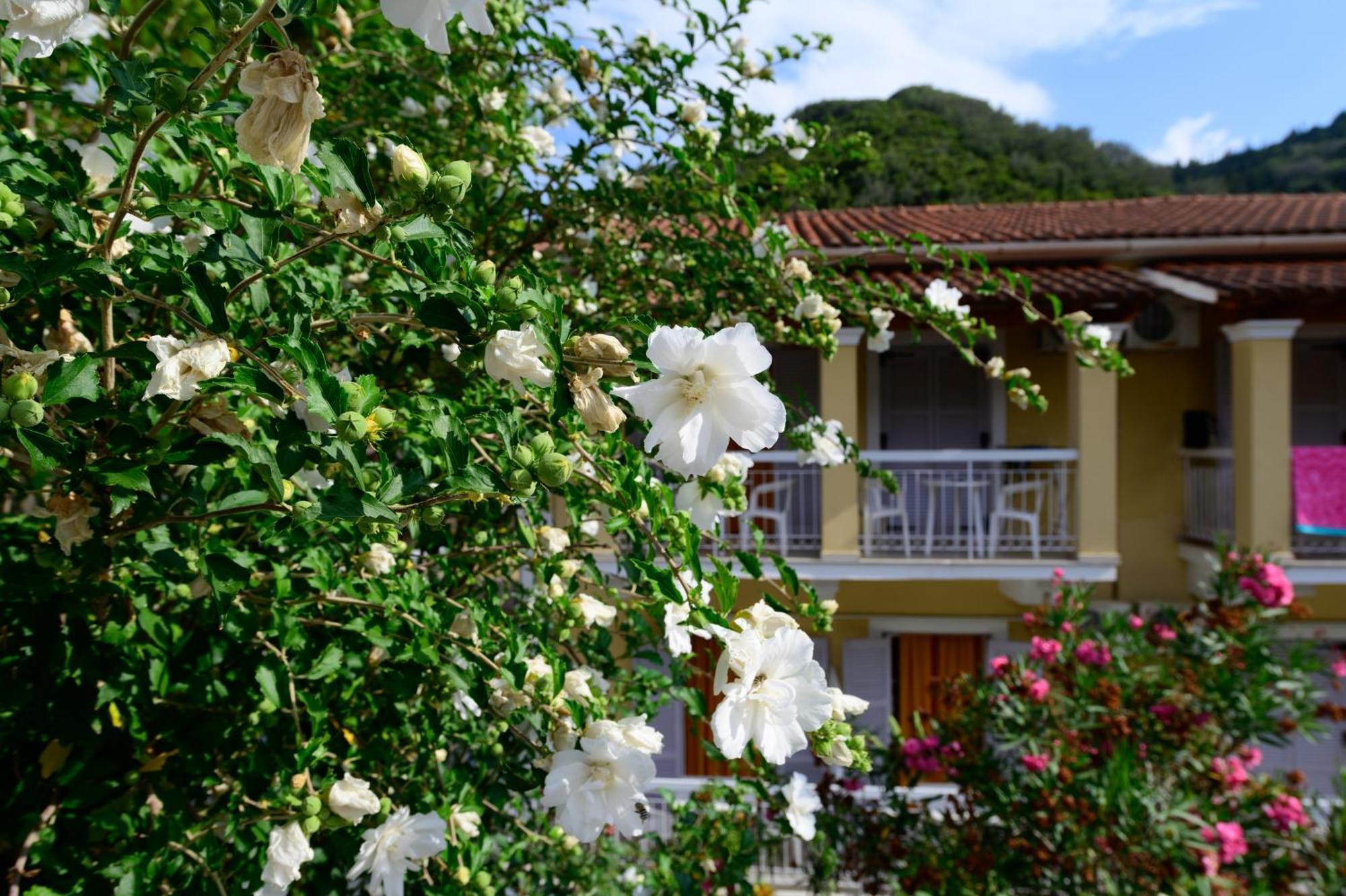 Marina Apartments, Агиос Гордиос Екстериор снимка
